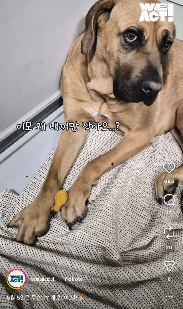 개린이날 현장 사진