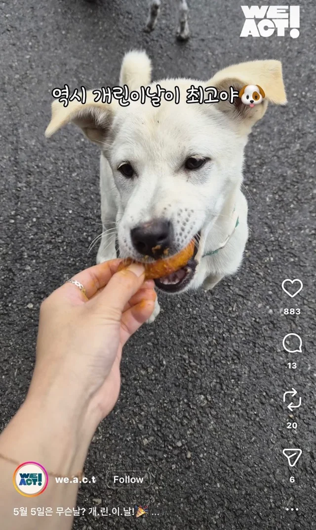 개린이날 현장 사진