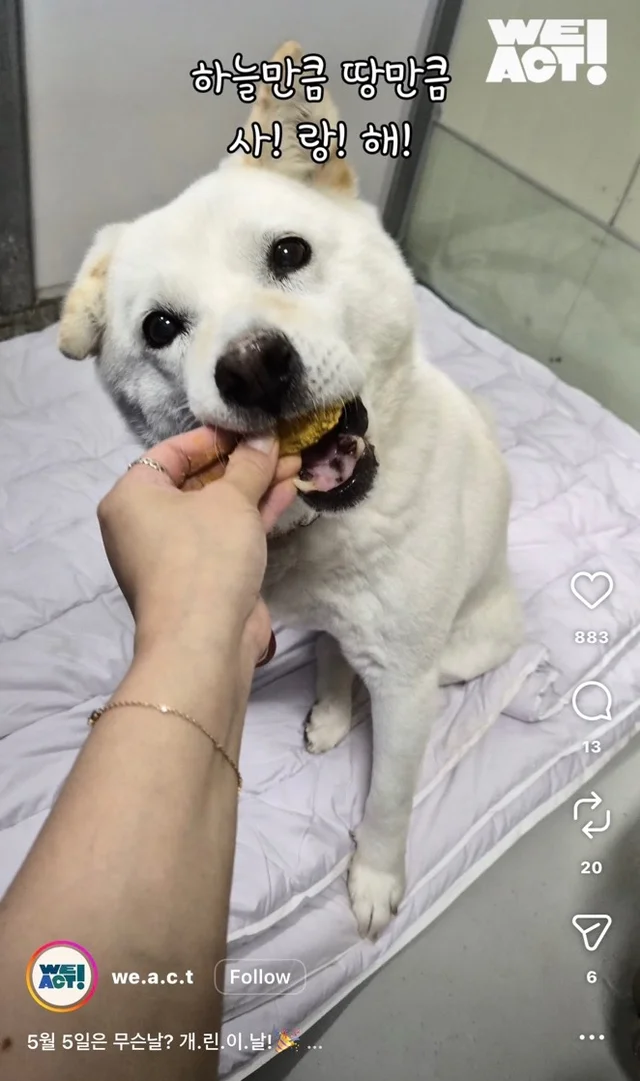 개린이날 현장 사진