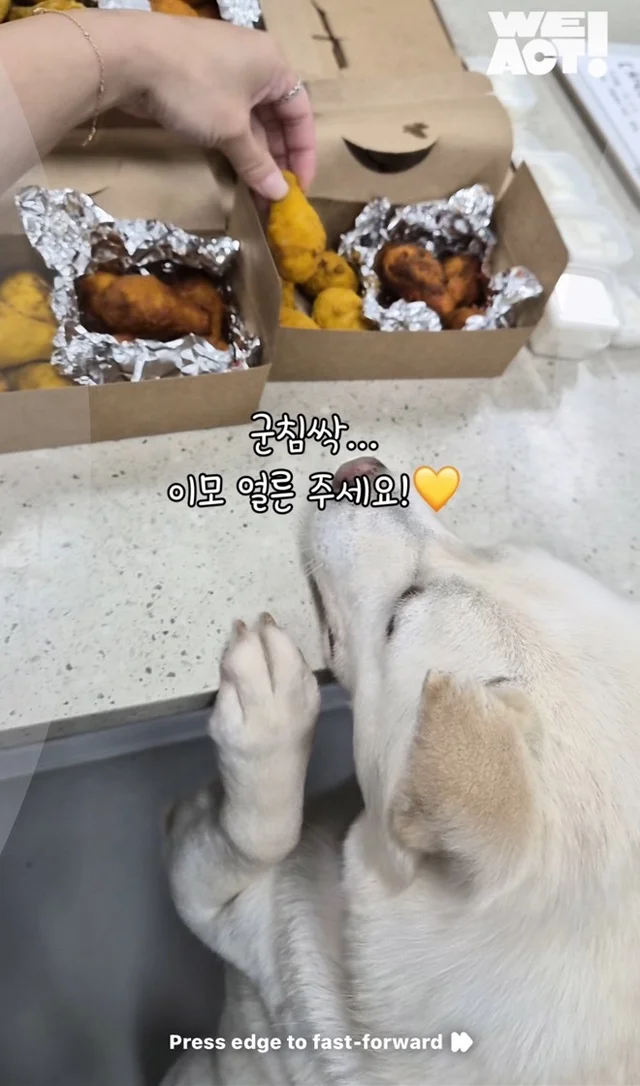 개린이날 현장 사진