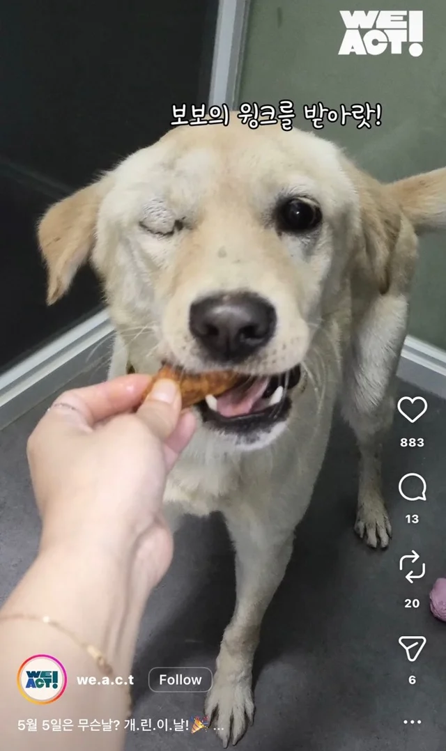 개린이날 현장 사진