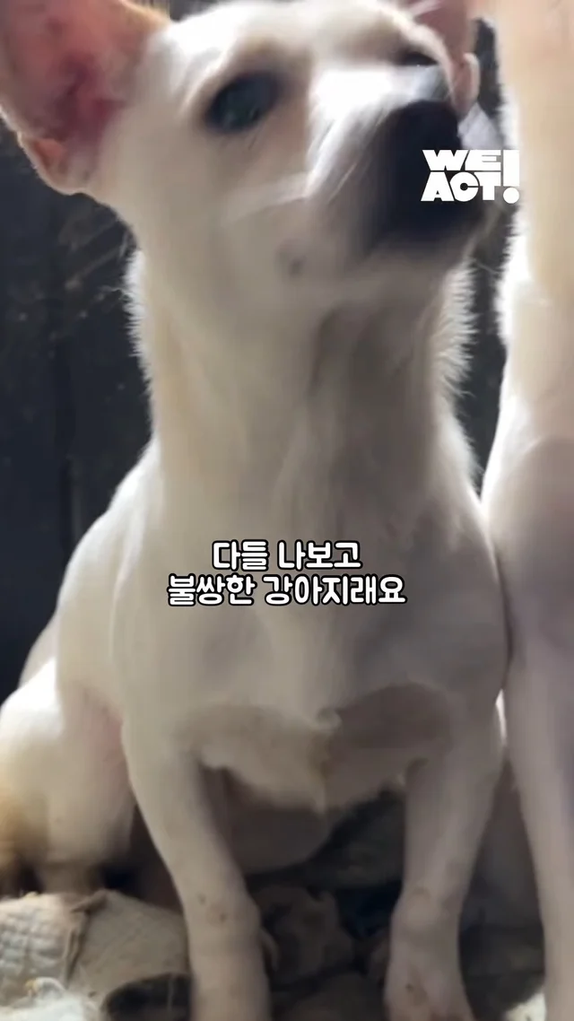 내가 본 공고 사진 #위액트삐삐 현장 사진