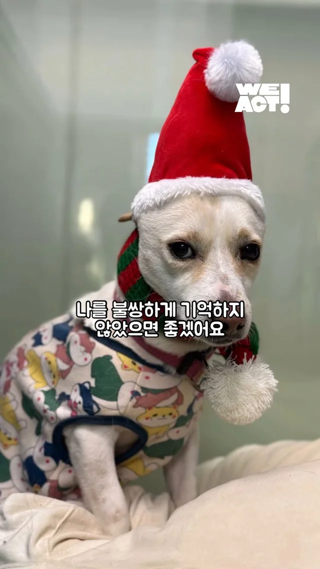 내가 본 공고 사진 #위액트삐삐 현장 사진