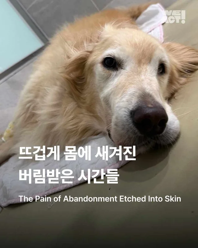 뜨겁게 몸에 새겨진 버림받은 시간들 현장 사진