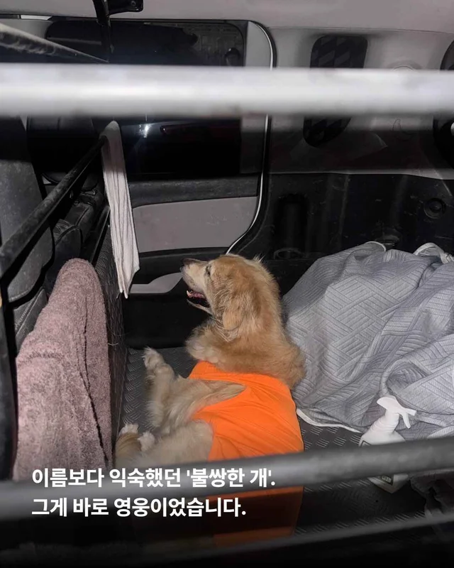 뜨겁게 몸에 새겨진 버림받은 시간들 현장 사진