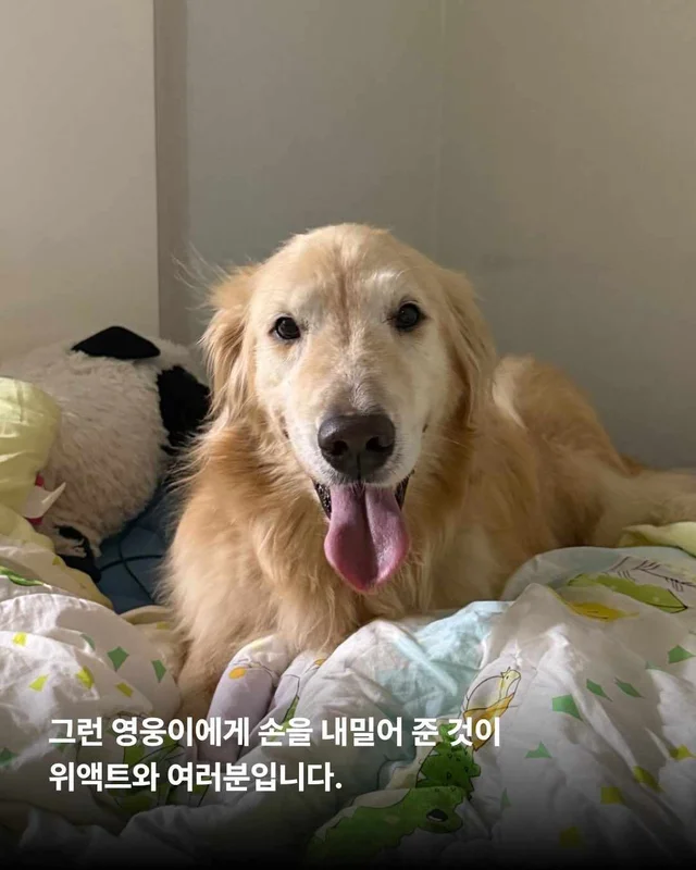 뜨겁게 몸에 새겨진 버림받은 시간들 현장 사진