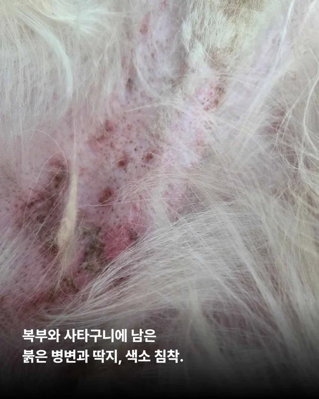 뜨겁게 몸에 새겨진 버림받은 시간들 현장 사진