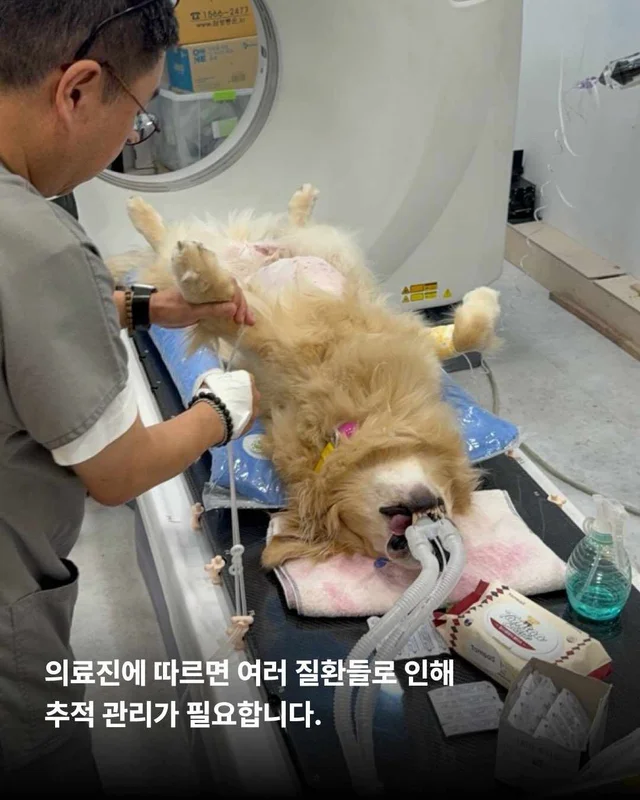 뜨겁게 몸에 새겨진 버림받은 시간들 현장 사진