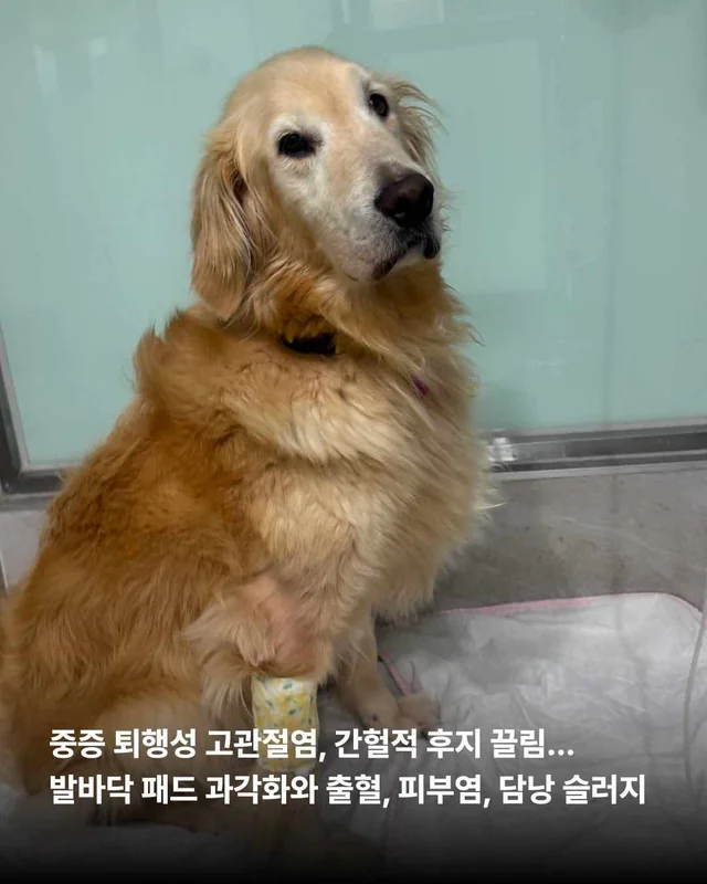뜨겁게 몸에 새겨진 버림받은 시간들 현장 사진