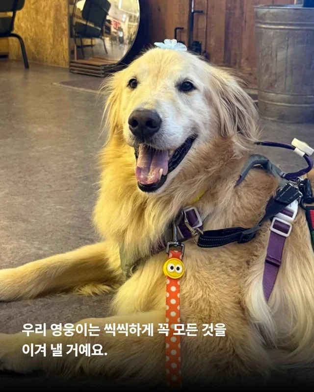 뜨겁게 몸에 새겨진 버림받은 시간들 현장 사진