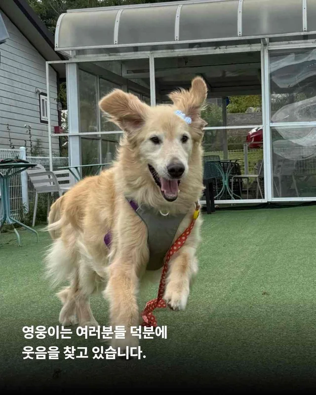 뜨겁게 몸에 새겨진 버림받은 시간들 현장 사진