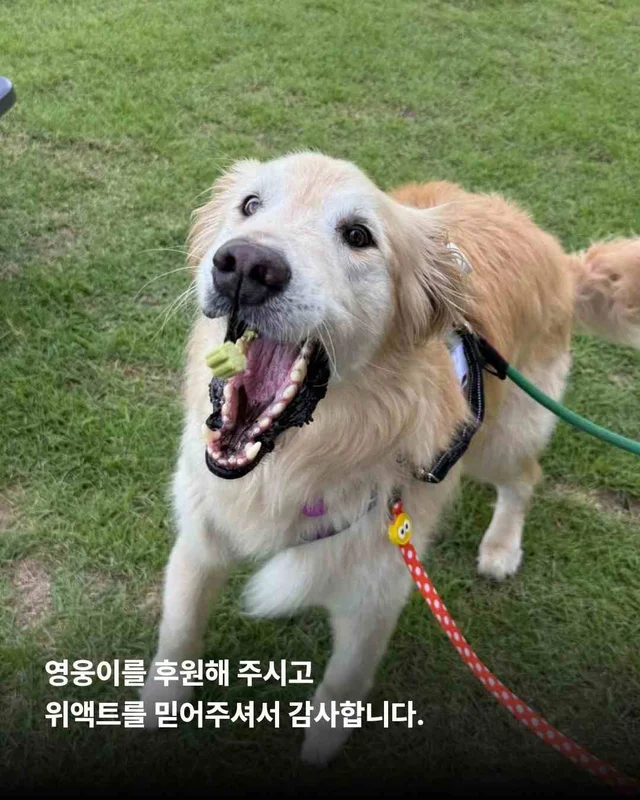 뜨겁게 몸에 새겨진 버림받은 시간들 현장 사진