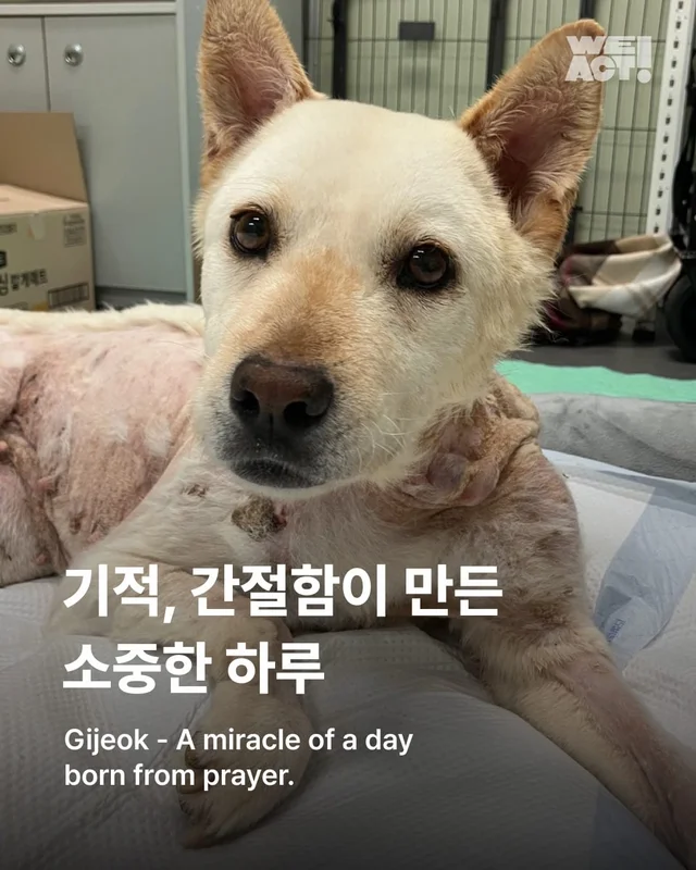기적, 간절함이 만든 소중한 하루 현장 사진