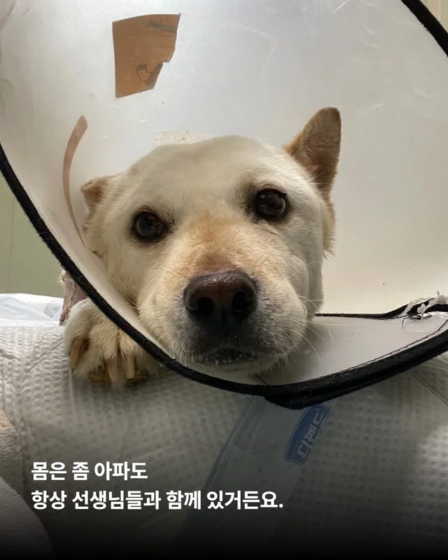기적, 간절함이 만든 소중한 하루 현장 사진