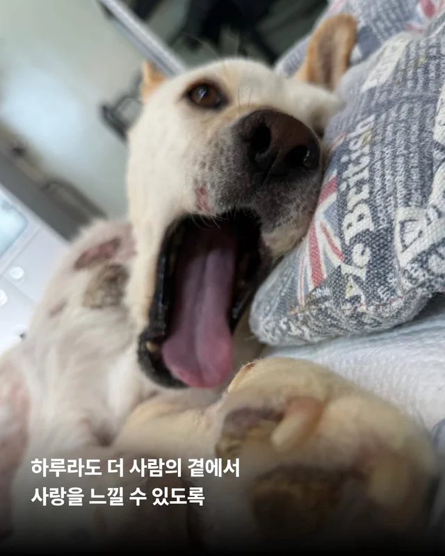 기적, 간절함이 만든 소중한 하루 현장 사진