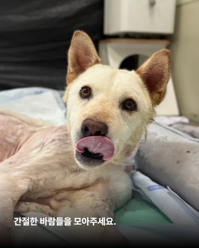 기적, 간절함이 만든 소중한 하루 현장 사진