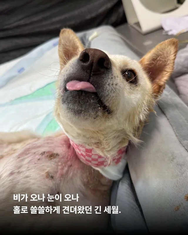 기적, 간절함이 만든 소중한 하루 현장 사진