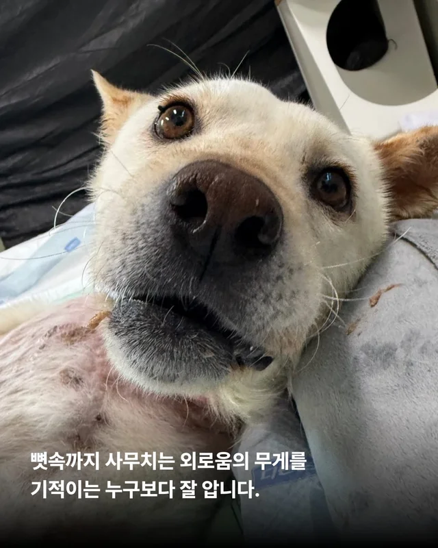 기적, 간절함이 만든 소중한 하루 현장 사진
