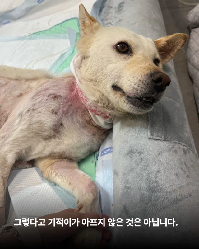 기적, 간절함이 만든 소중한 하루 현장 사진