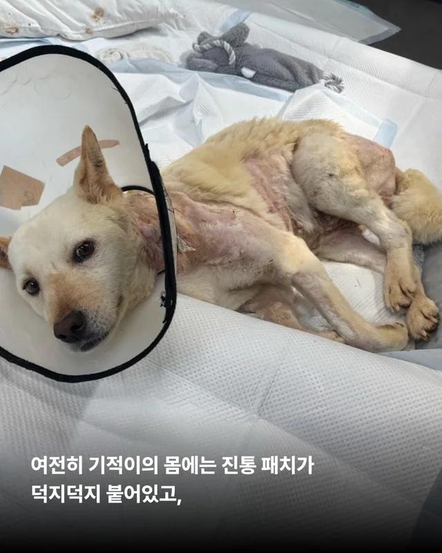 기적, 간절함이 만든 소중한 하루 현장 사진
