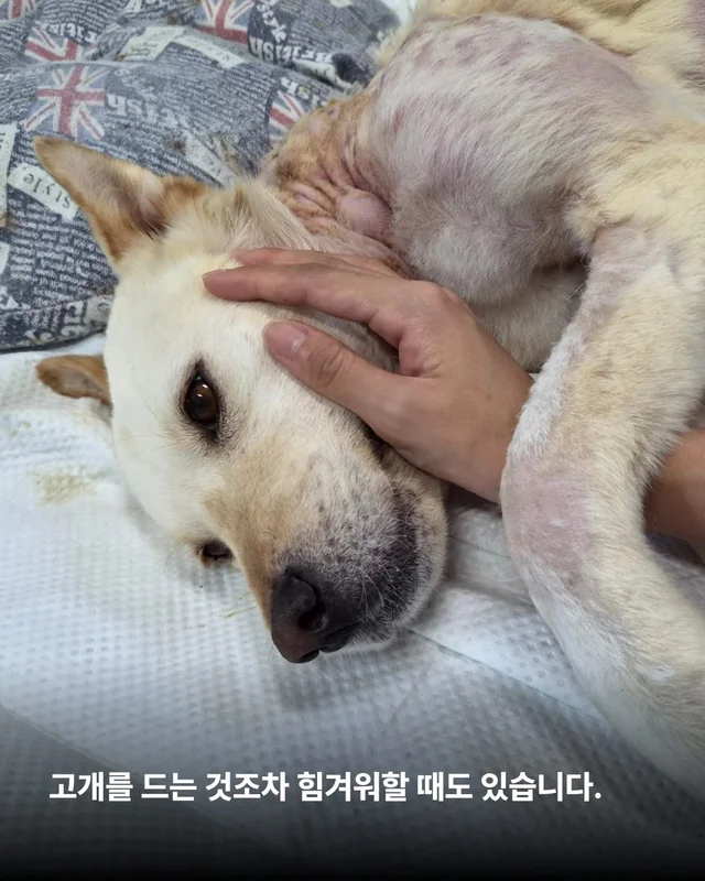기적, 간절함이 만든 소중한 하루 현장 사진