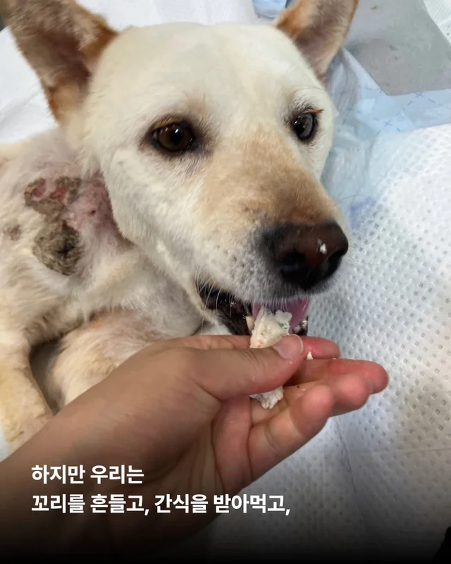 기적, 간절함이 만든 소중한 하루 현장 사진