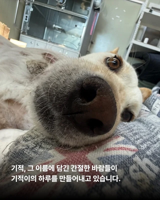 기적, 간절함이 만든 소중한 하루 현장 사진