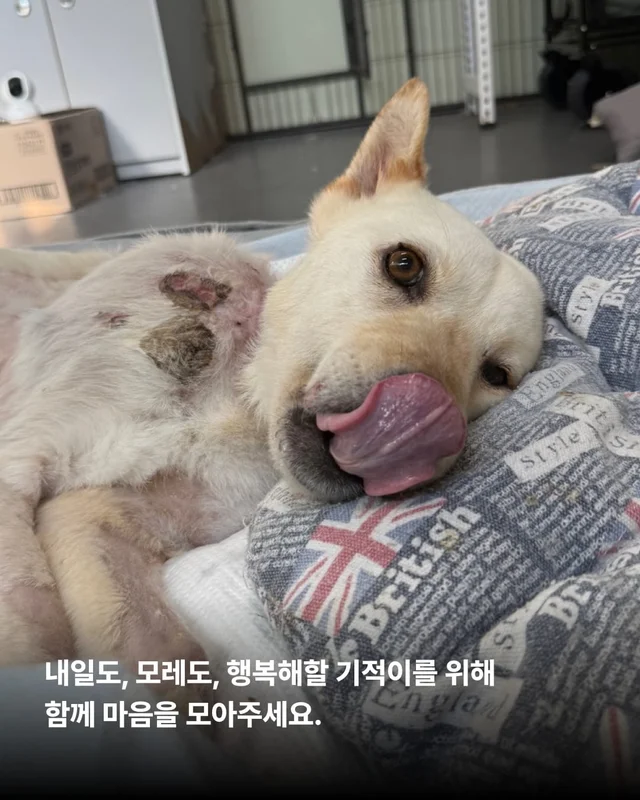 기적, 간절함이 만든 소중한 하루 현장 사진
