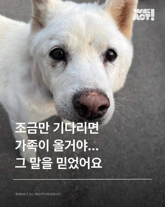위액트베티, 위액트스캇, 위액트마니, 위액트버트, 위.. 현장 사진