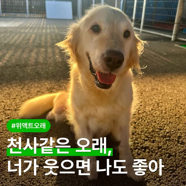천사같은 오래, 너가 웃으면 나도 좋아 현장 사진