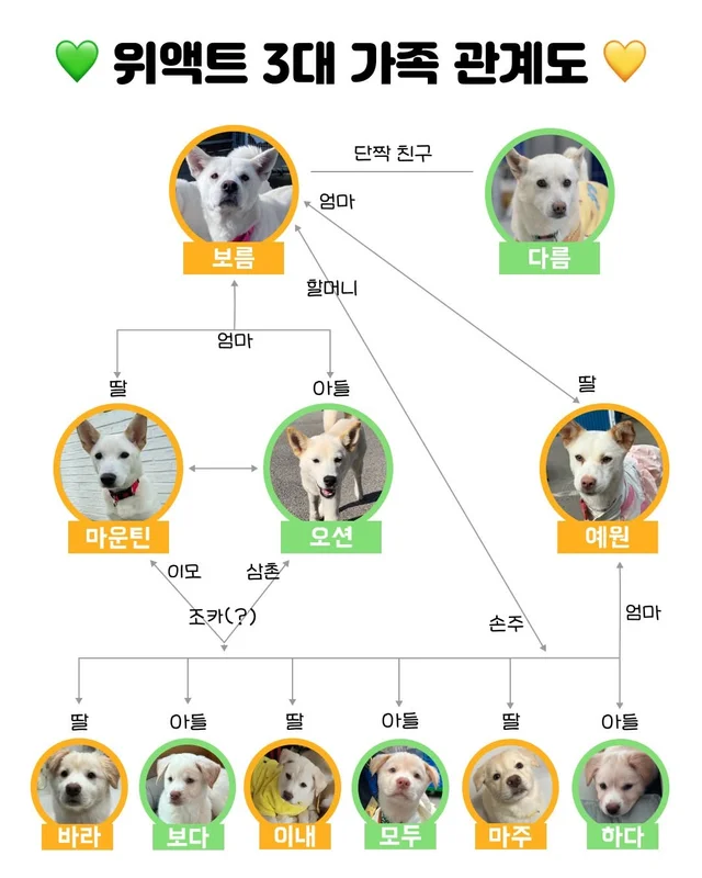 위액트에 3대 가족이 있다?! 현장 사진