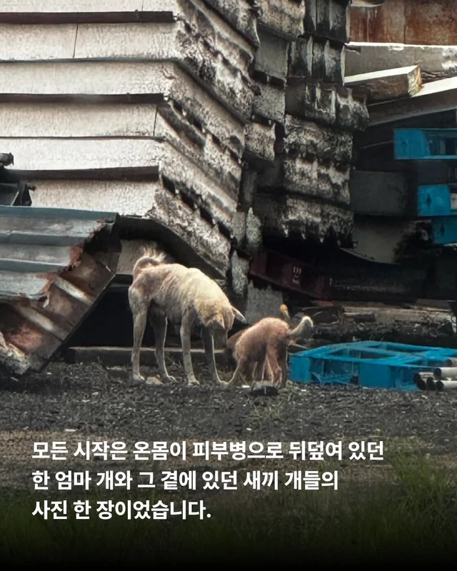 위액트에 3대 가족이 있다?! 현장 사진