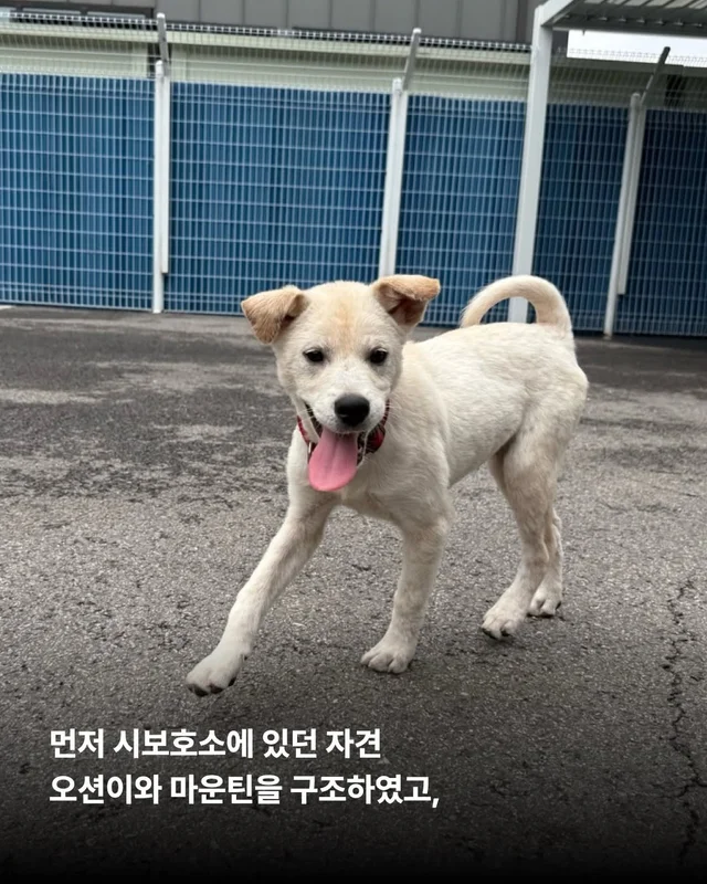 위액트에 3대 가족이 있다?! 현장 사진