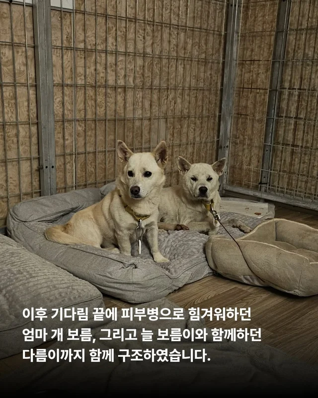 위액트에 3대 가족이 있다?! 현장 사진