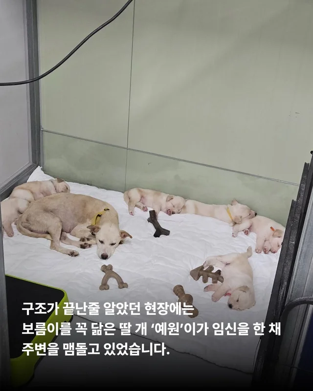위액트에 3대 가족이 있다?! 현장 사진