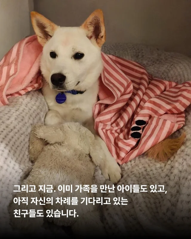 위액트에 3대 가족이 있다?! 현장 사진