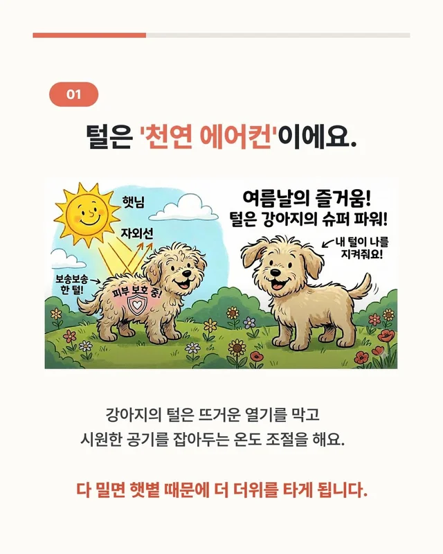 댕댕이 여름철 빡빡이 주의보 현장 사진