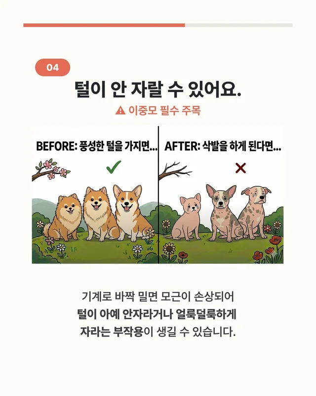 댕댕이 여름철 빡빡이 주의보 현장 사진