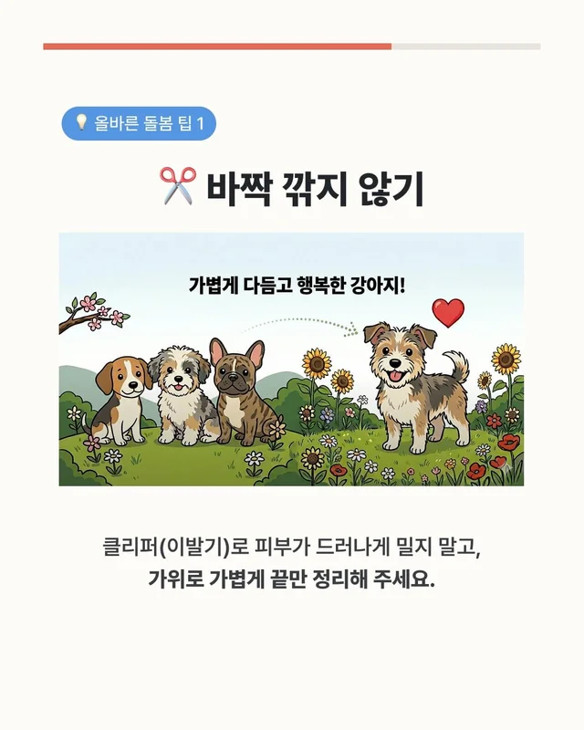 댕댕이 여름철 빡빡이 주의보 현장 사진