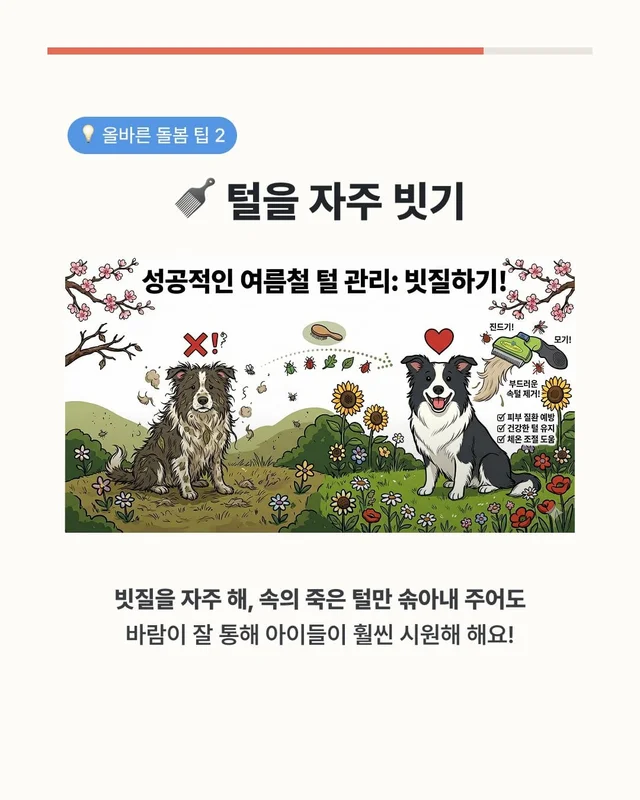 댕댕이 여름철 빡빡이 주의보 현장 사진