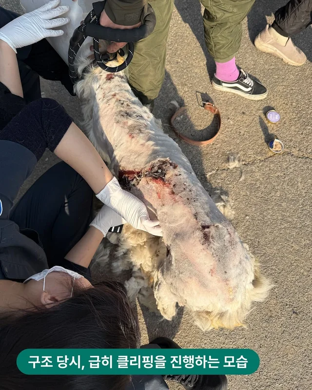중요한 건, 꺾이지 않는 헤더의 예쁜 마음! 현장 사진