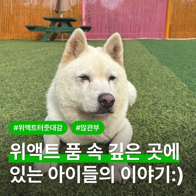 위액트 품속 깊은 곳에 있는 아이들 이야기 현장 사진