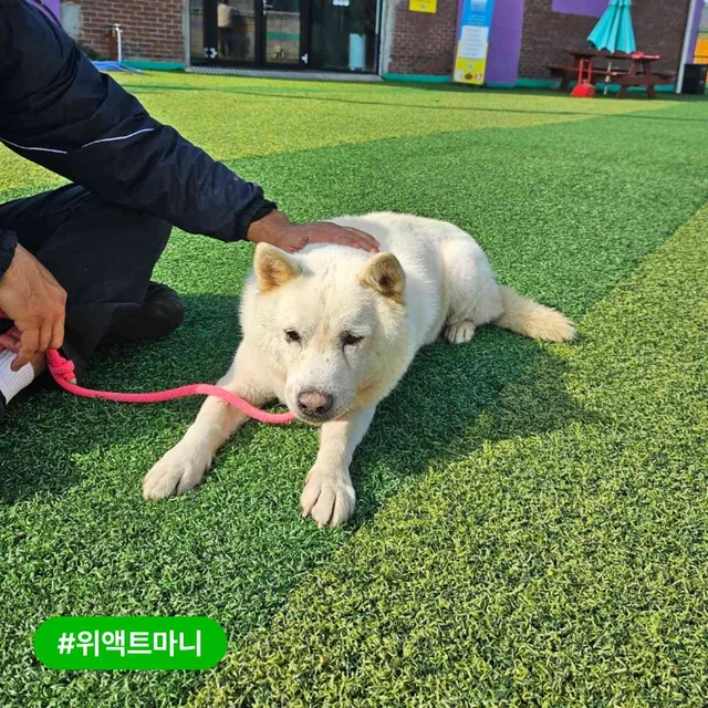 위액트 품속 깊은 곳에 있는 아이들 이야기 현장 사진