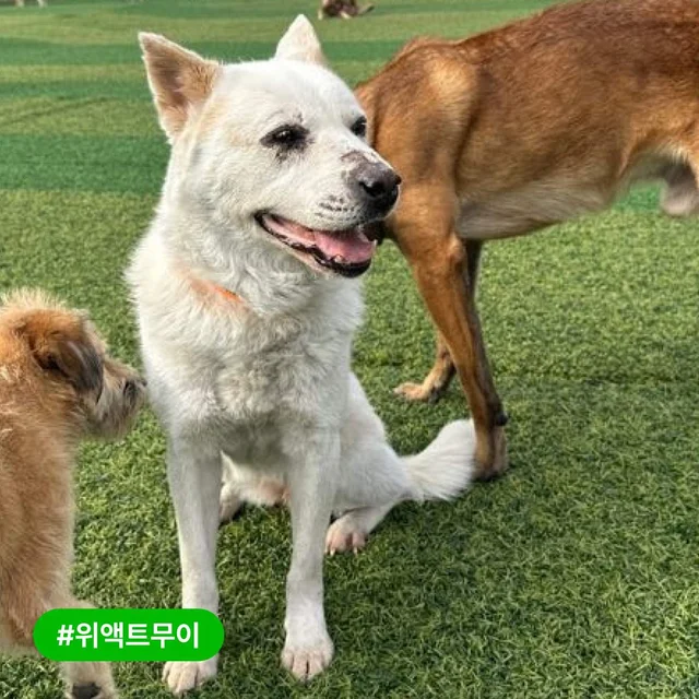 위액트 품속 깊은 곳에 있는 아이들 이야기 현장 사진