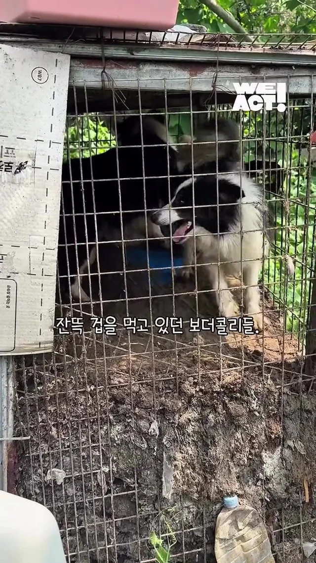 이제는 사람이 무섭지 않아요 현장 사진