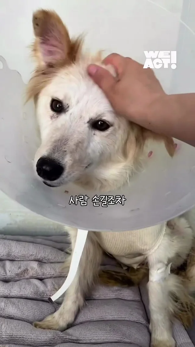 이제는 사람이 무섭지 않아요 현장 사진