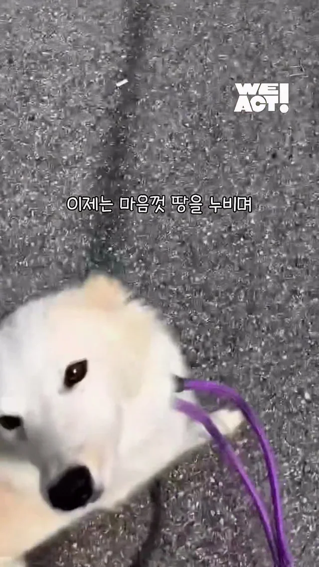 이제는 사람이 무섭지 않아요 현장 사진