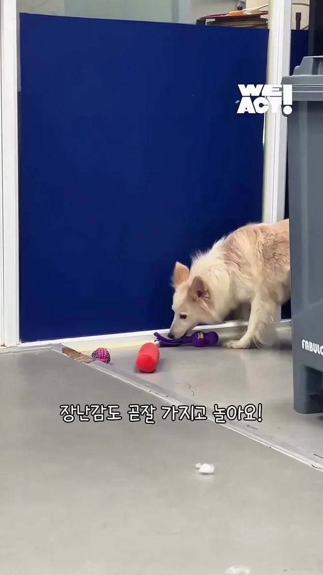 이제는 사람이 무섭지 않아요 현장 사진