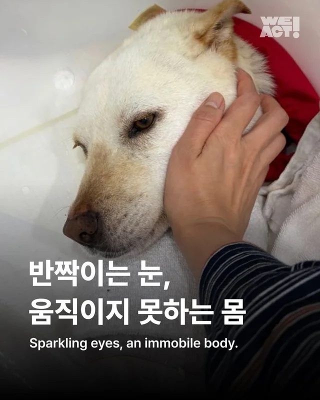 반짝이는 눈, 움직이지 못하는 몸 현장 사진