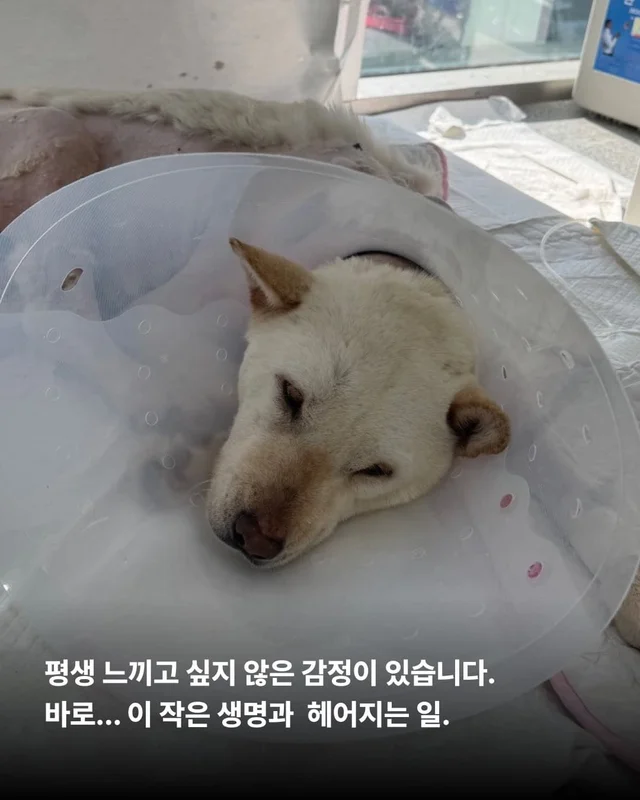 반짝이는 눈, 움직이지 못하는 몸 현장 사진
